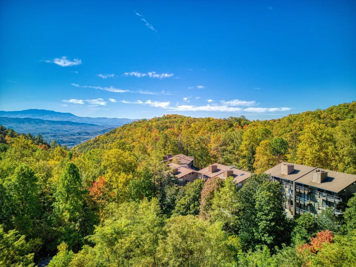 A sweeping exterior view of the Smoky Mountain range, colorful autumn foliage, and residential buildings nestled among the trees. The image conveys both the grandeur of the natural setting and the accessibility of local nature trails.