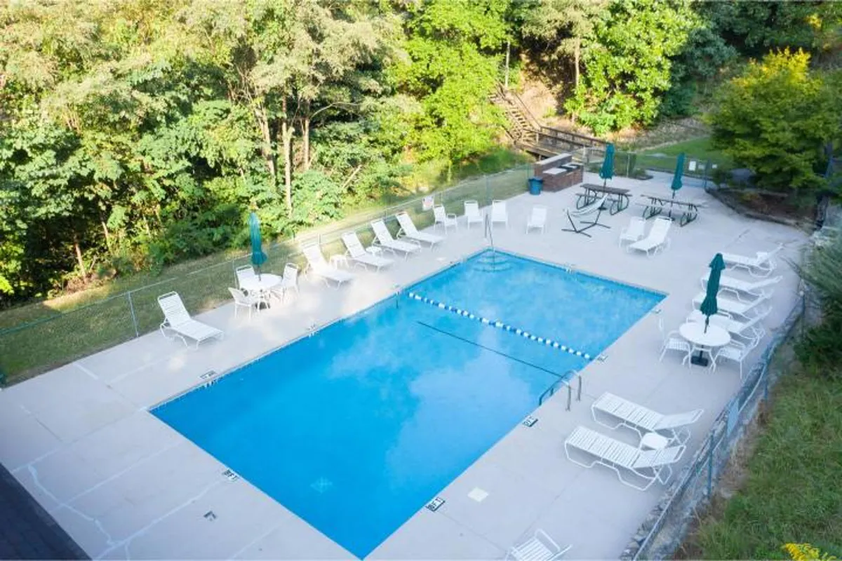 An exterior view of the sparkling swimming pool area, surrounded by lush green trees, with several lounge chairs arranged for relaxation or socializing. The scene is set for both quiet mornings and lively poolside gatherings, emphasizing the resort lifestyle perks.