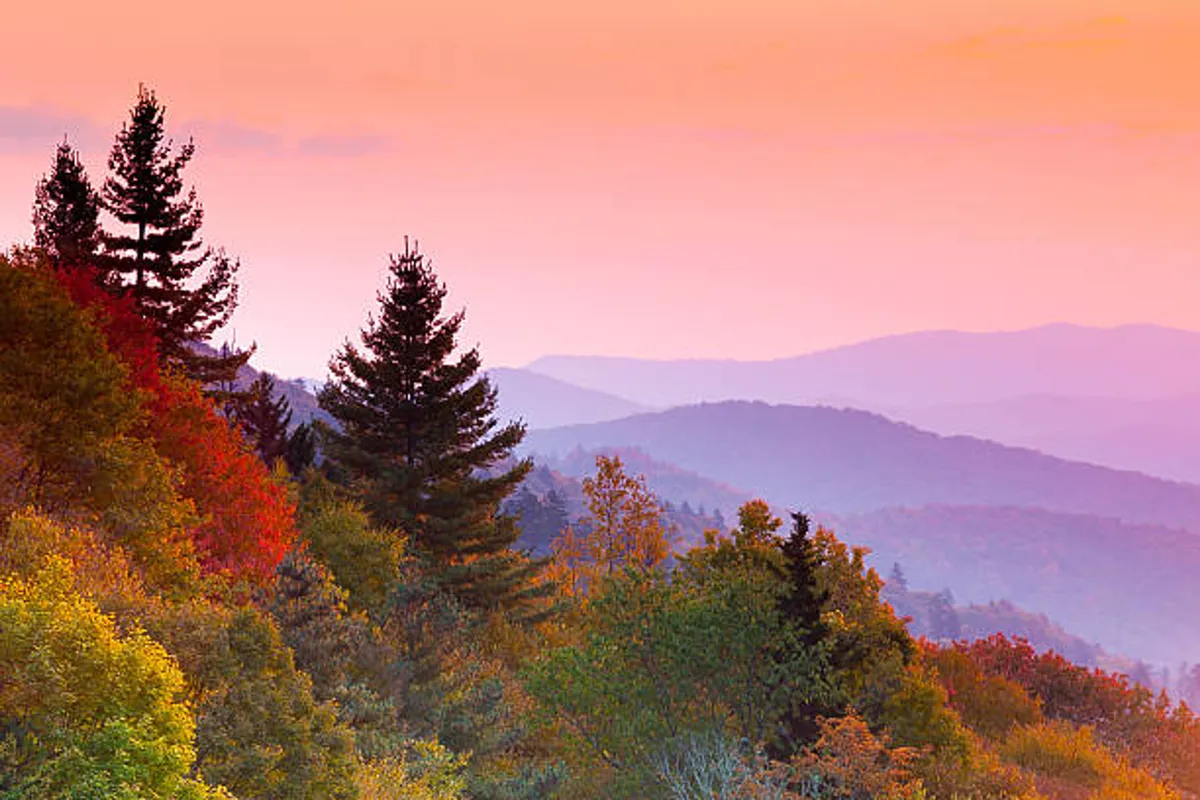 A breathtaking view of a mountain range framed by colorful foliage and silhouetted trees, evoking the excitement of outdoor exploration and the beauty of the region. The mood is serene and inviting, perfect for families seeking adventure and scenic beauty.