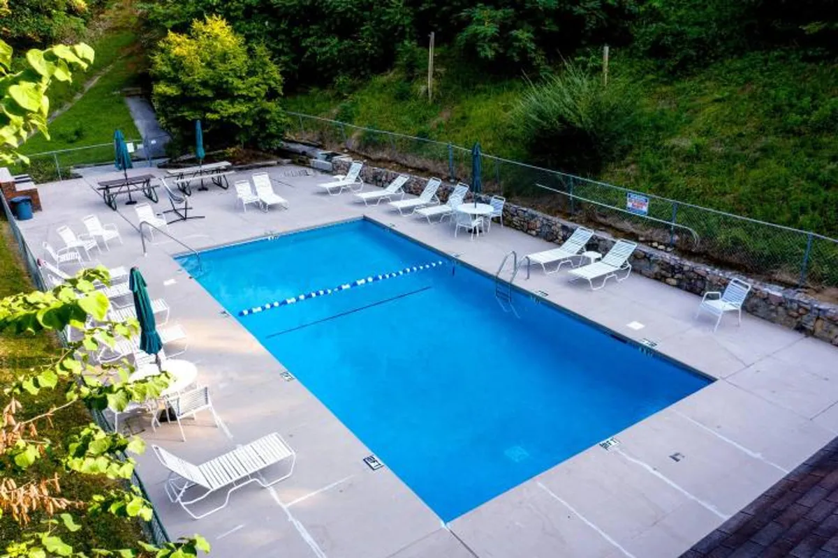 A well-maintained swimming pool area with lounge chairs, an umbrella, and a picnic table, surrounded by trees. The pool area appears inviting for guests to relax, socialize, or sunbathe, though pets are not permitted in this space.