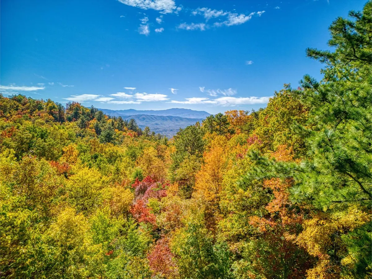 The image presents a wide, panoramic view of vibrant autumn foliage stretching toward distant mountains under a clear blue sky. There are no buildings, just pure natural landscape, emphasizing the wilderness and scenic beauty that await nearby. The mood is tranquil and inviting for outdoor activities like hiking and photography.