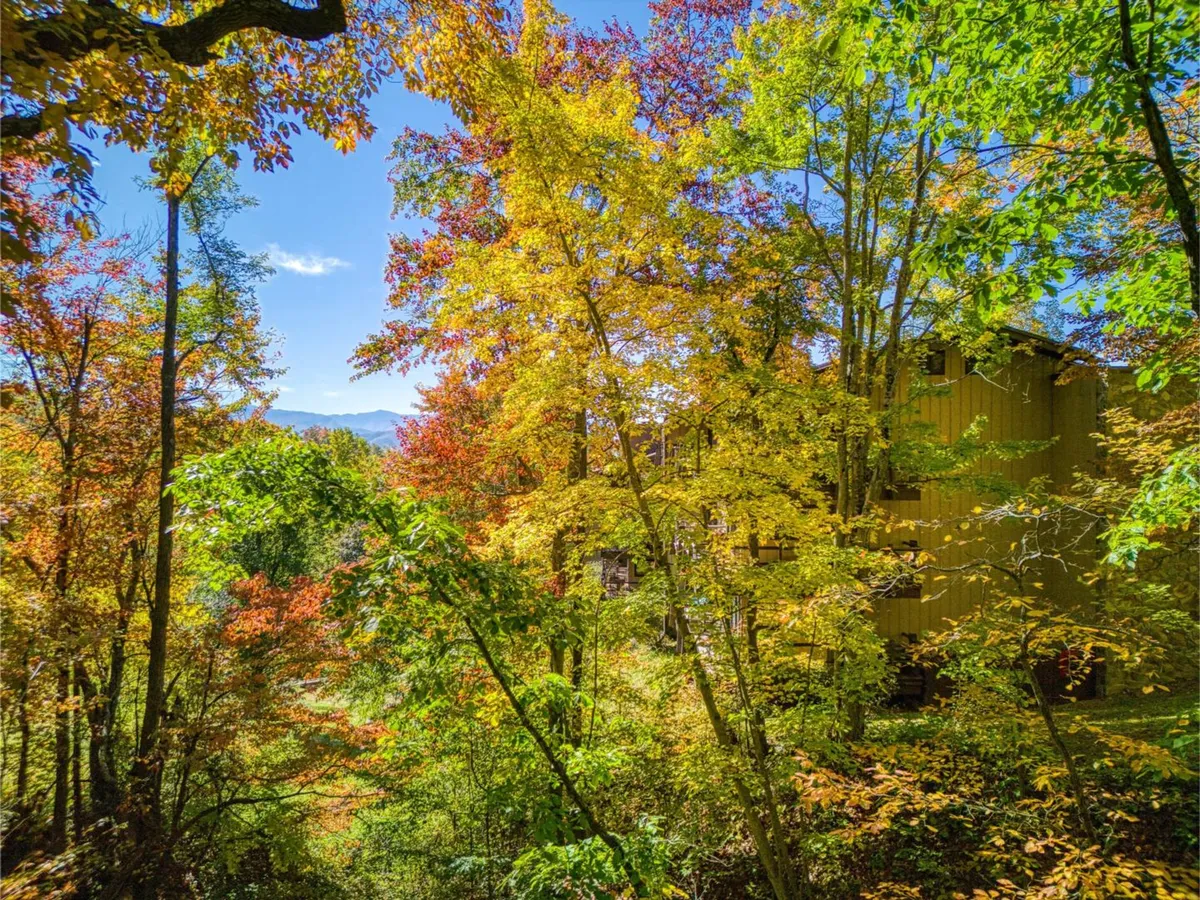 A picturesque exterior view featuring vibrant autumn foliage, distant mountains, and a wooden structure nestled among the trees. The scene suggests outdoor exploration opportunities such as hiking, nature walks, or birdwatching right outside the accommodations.